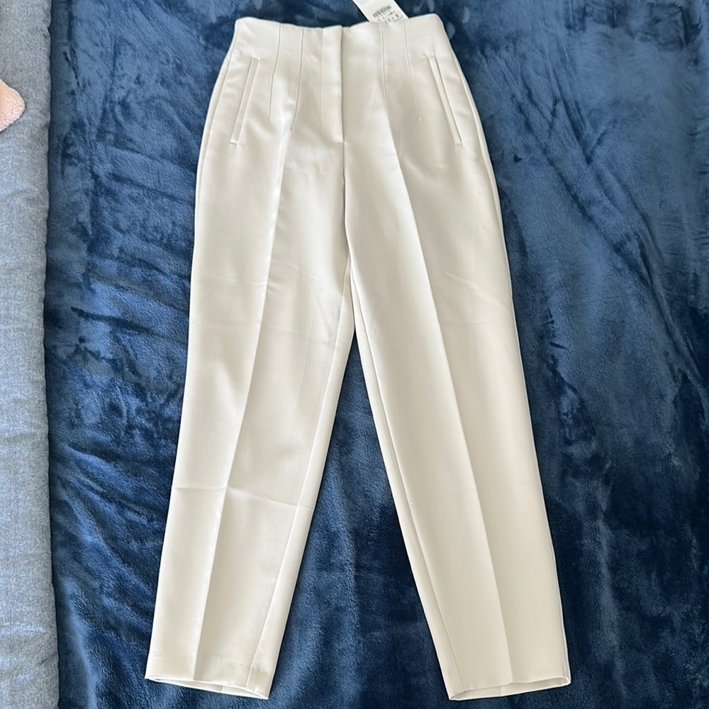 Zara High Waisted Pants